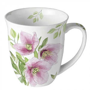 classic helleborus mok